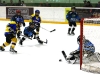 Eishockey 2010